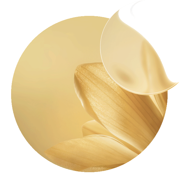 Ein genauerer Blick auf die Schafgarbe