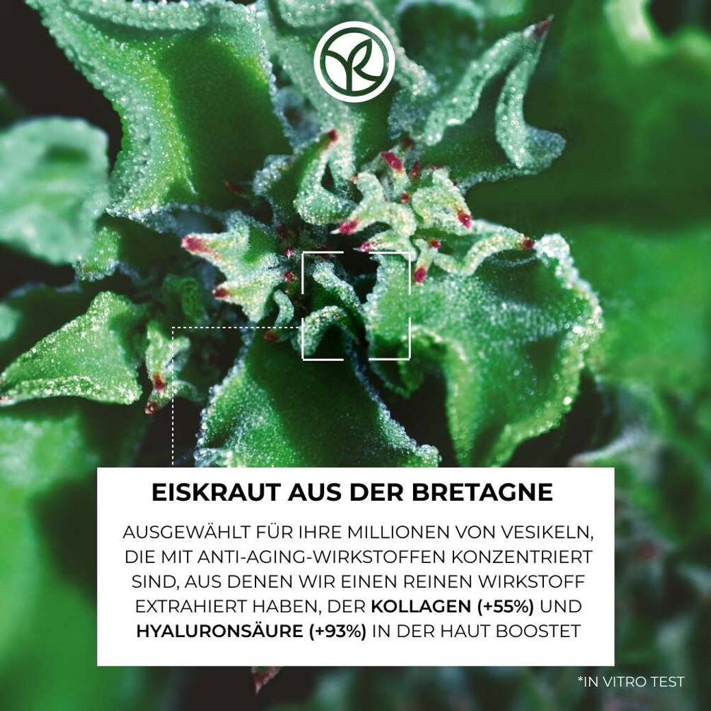 Augenpflege gegen Falten und Tränensäcke