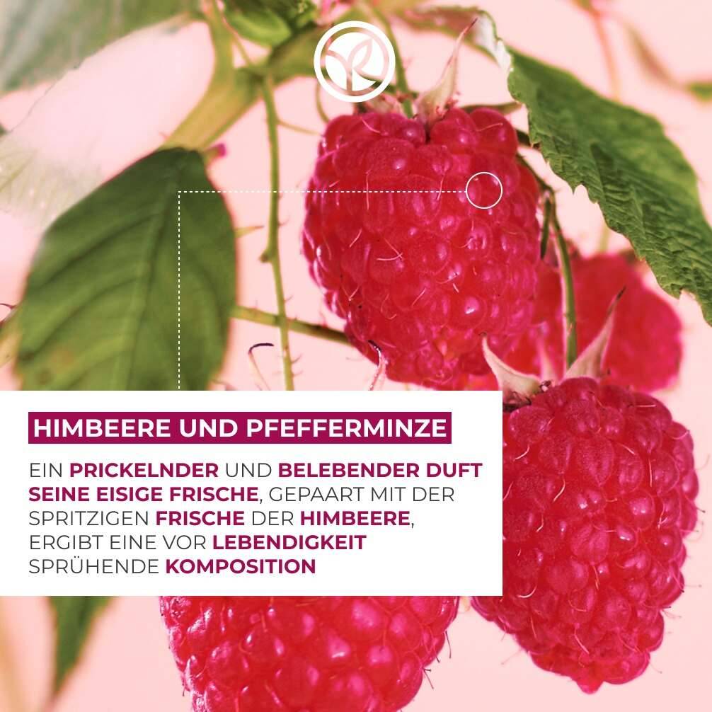 Nachfüllpack Duschgel Himbeere & Pfefferminze