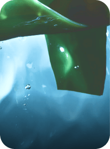 microalga yves rocher