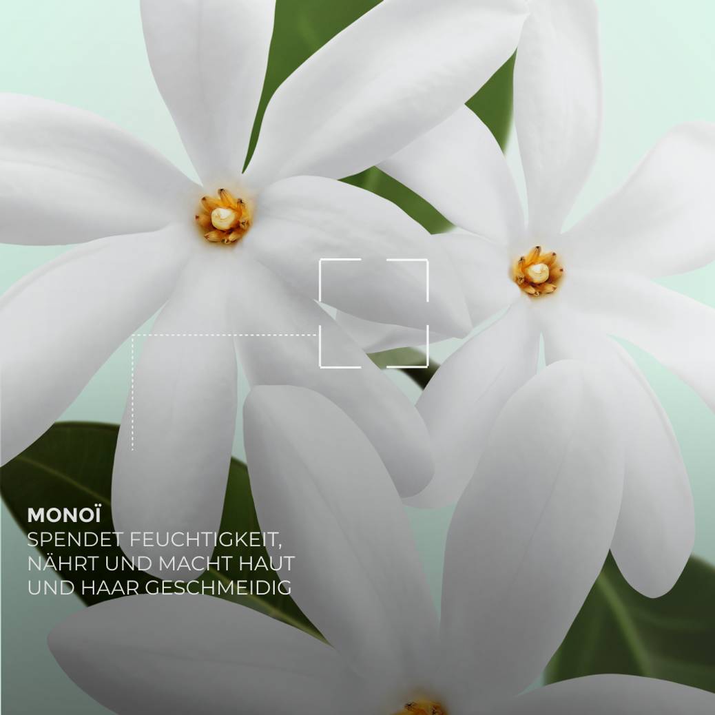 Körper- & Dusch-Set – Monoi
