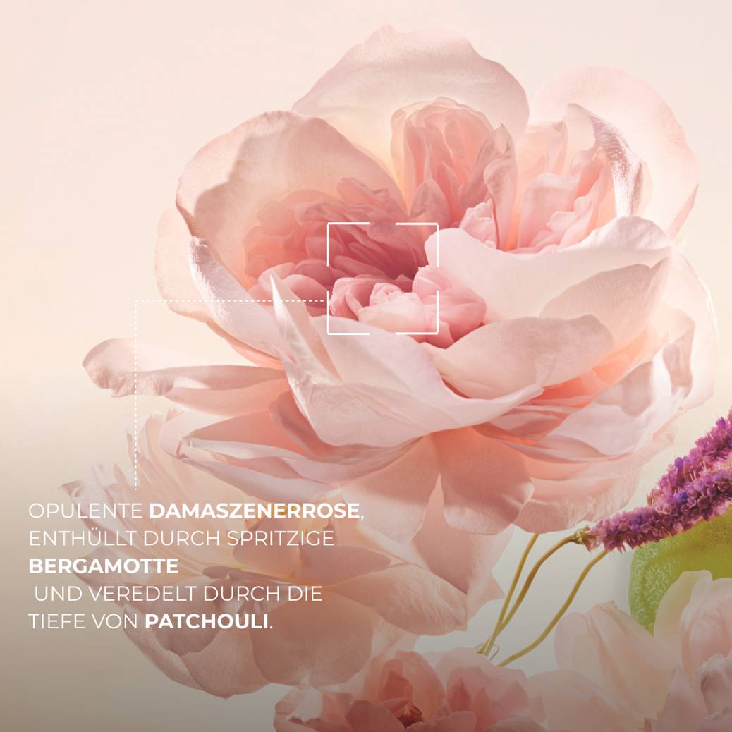 Set Comme Une Évidence – Eau de Parfum & Duschgel