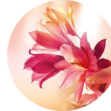 Tuberose, Ylang-Ylang, Sandelholz