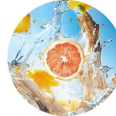 Zitrone, Grapefruit, Zeder