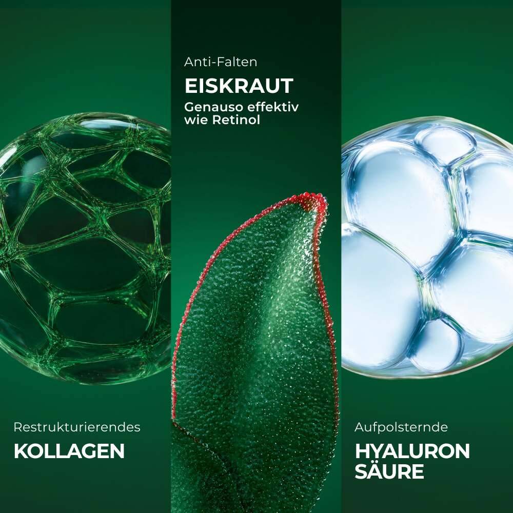 Konzentrat mit Doppelwirkung